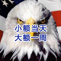 新建要账公司